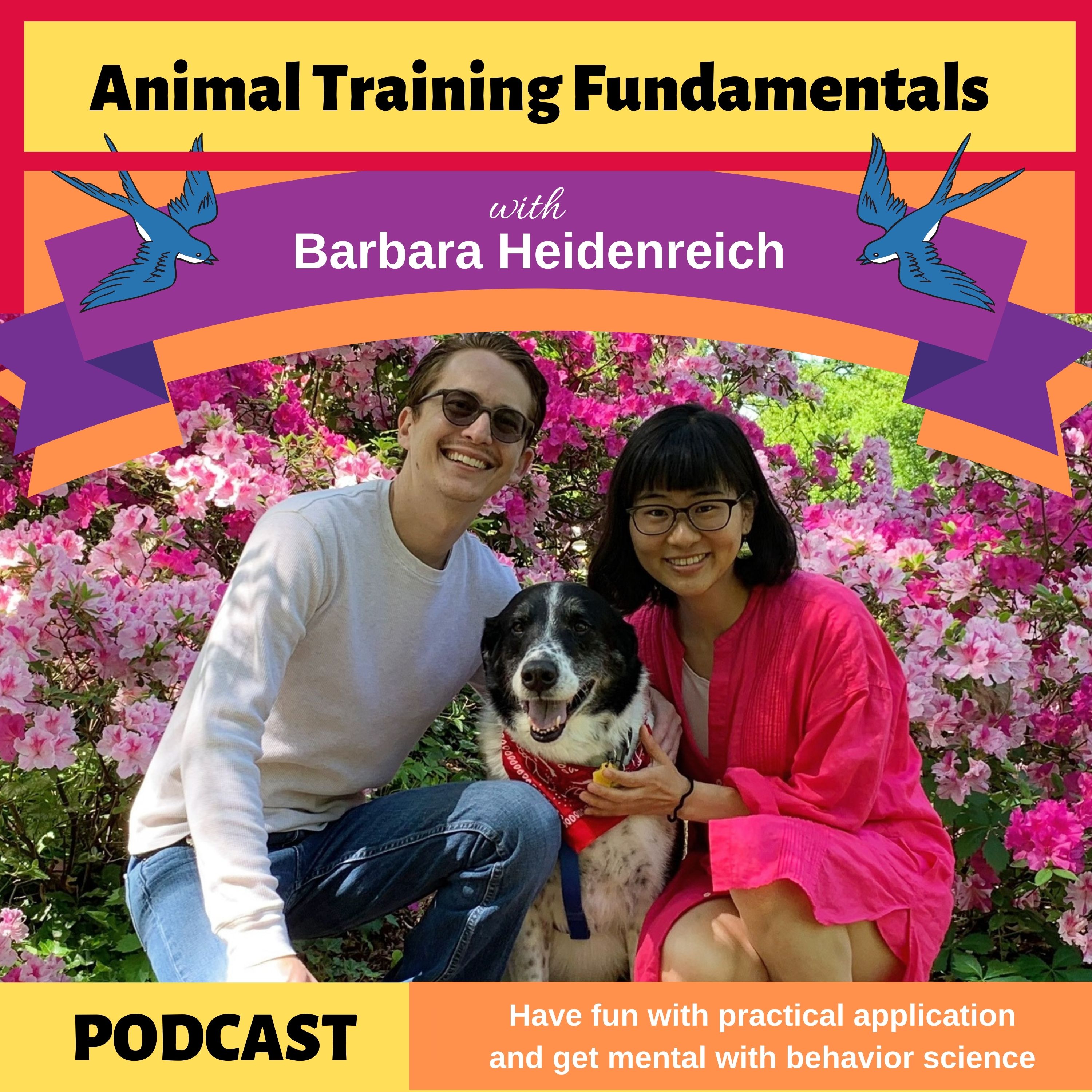 Is the Future of Animal Training Constructional? Featuring Sean Will